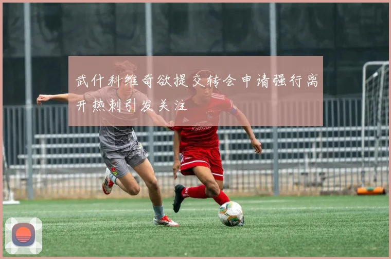 武什科维奇欲提交转会申请强行离开热刺引发关注