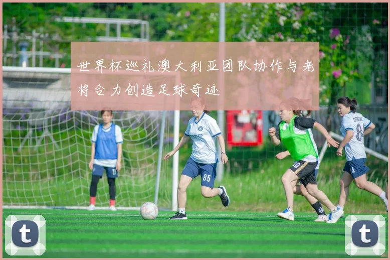 世界杯巡礼澳大利亚团队协作与老将合力创造足球奇迹